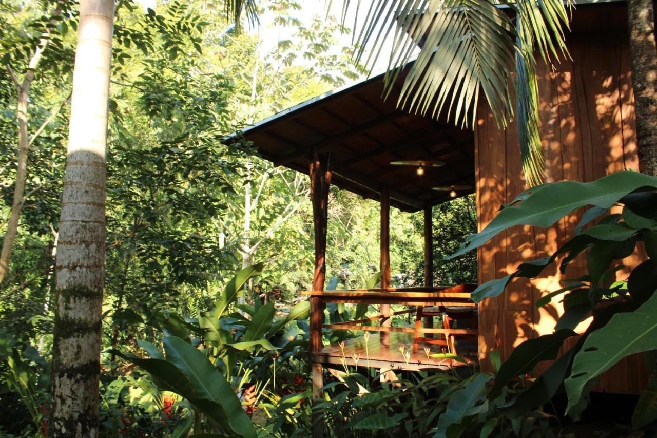 Natural Drake Bay Hotel Boutique Ngoại thất bức ảnh