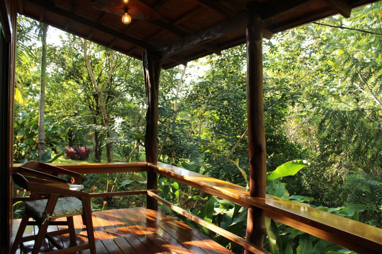 Natural Drake Bay Hotel Boutique Ngoại thất bức ảnh