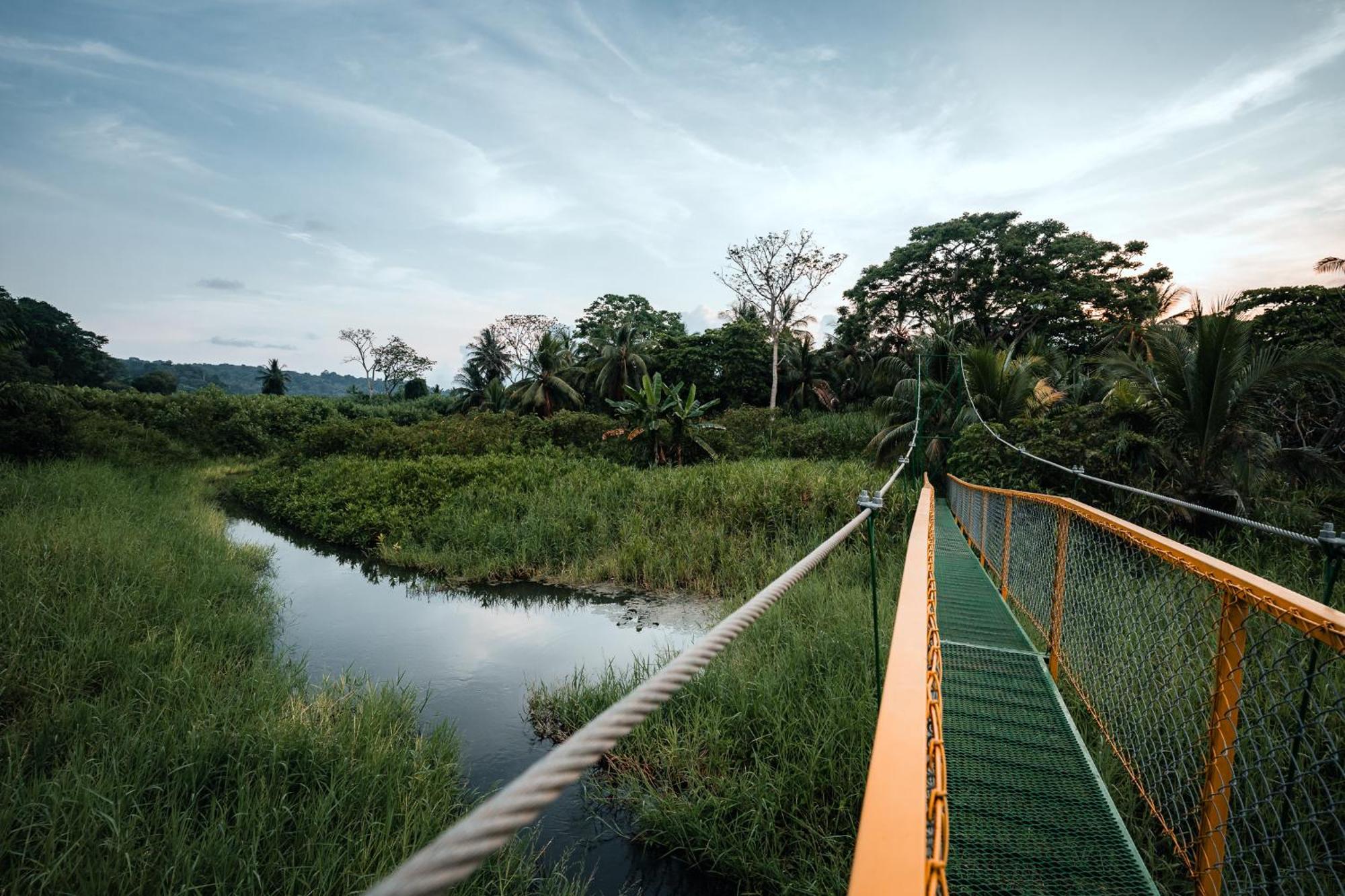 Natural Drake Bay Hotel Boutique Ngoại thất bức ảnh