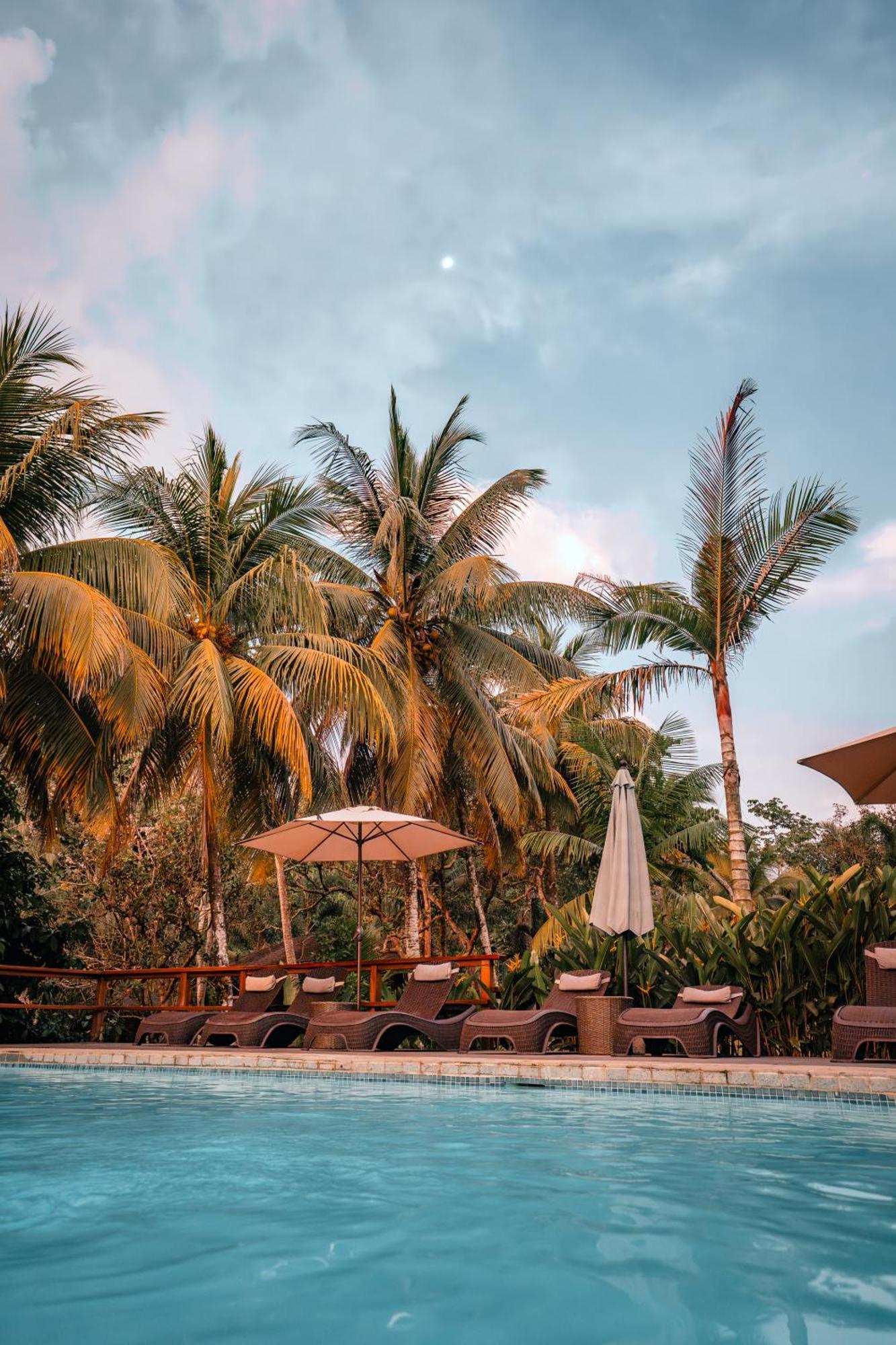 Natural Drake Bay Hotel Boutique Ngoại thất bức ảnh